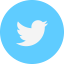 ANNA SHCHERBINOVA Twitter